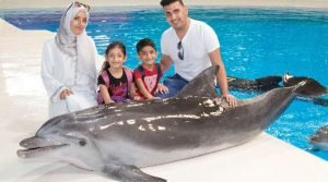 Dolphin Bay Atlantis